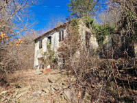 Prodaja - veliko imanje/stanica v osrednji Istri, Pazin! Investicijska