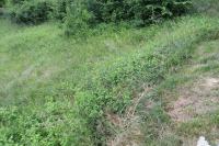 prodaja, zemljišče zazidljivo, Podravska Šentilj Šentilj v Slov. Goric