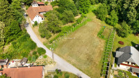 Ptuj, Mestni vrh