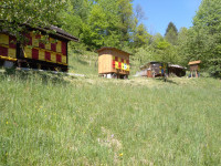 Puščava, 12300 m2
