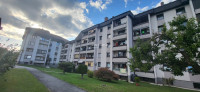 Ruše, Bistrica ob dravi