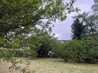 Šentilj v Slovenskih goricah, 559 m2