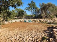 Šilo, Dobrinj, 214m2