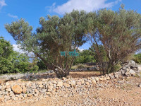 Šilo, Dobrinj, 217m2