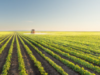 Slovenska Bistrica, okolica