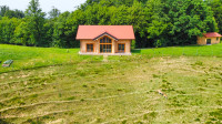 Slovenske Konjice, Lipoglav