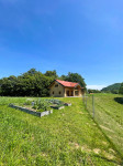 Slovenske Konjice, Lipoglav