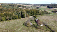 Stara domačija naprodaj v Rucmancih