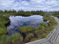 V Kranju ali okolici najamem garsonjero ali 1 sobno stanovanje