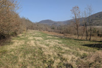 Vaš skriti kotiček v slovenski Istri