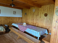 Vinograd z zidanco, Sremič, prodam