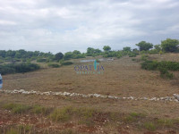 Vir, 600m2