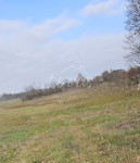 Vodnjan 915m2