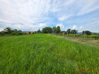 Vrhole pri Slov. Konjicah, 5000 m2