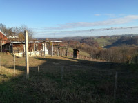 Vrsta zemljišča: Kmetijsko, Ivanjkovci, 1900 m2