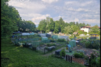 Vrtiček, vrt, parcela, Ljubljana, Koseze, Šiška