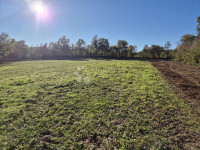 Zazidljivo zemljišče Barban, 9.700m2