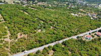 Zazidljivo zemljišče Buzet, 10.800m2