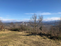 Zazidljivo zemljišče Motovun, 5.614m2