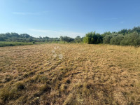 Zazidljivo zemljišče Murine, Umag, 1.250m2