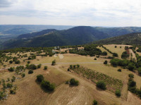 Zazidljivo zemljišče Oprtalj, 9.481m2