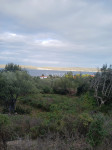 Zazidljivo zemljišče Pašman, 305m2