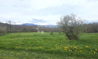 Zazidljivo zemljišče Pićan, 766m2