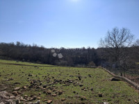 Zazidljivo zemljišče Poreč, 985m2