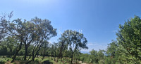 Zazidljivo zemljišče Preluk, Rijeka, 2.138m2