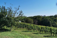 Zazidljivo Zemljišče v Velikem Brebrovniku