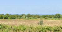 Zazidljivo zemljišče Vodnjan, 2.676m2