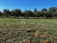 Zazidljivo zemljišče Vodnjan, 960m2