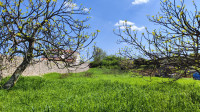 Zemljišče Barban, 1.329m2