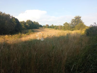 Zemljišče Cere, Žminj, 2.269m2