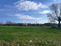 Zemljišče Divšići, Marčana, 6.000m2