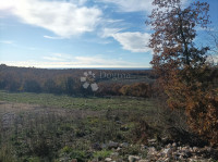 Zemljišče Golaš, Bale, 23.971m2