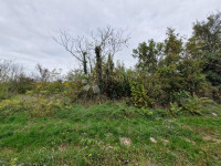 Zemljišče Grandići, Barban, 1.100m2