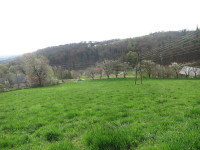 Zemljišče kmetijsko