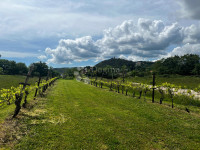 Zemljišče Labin, 1.000m2