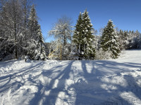 Zemljišče Ravna Gora, 1.734m2