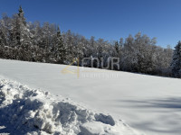 Zemljišče Ravna Gora, 2.530m2