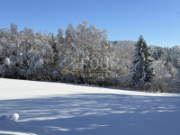 Zemljišče Ravna Gora, 2.659m2