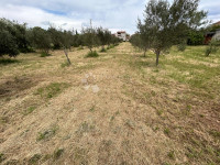 Zemljišče Valtura, Ližnjan, 4.330m2