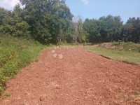 Zemljišče Žminj, 1.324m2