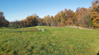 Zemljišče Žminj, 4.300m2