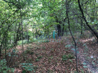 Zvoneća, Matulji, 4.633m2