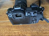 Nikon Z 6II + 24-120 f4+ FTZ II + Nikkor 60mm f2.8