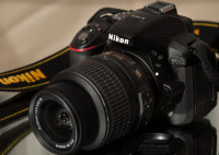 Nikon D5300 + AF-P Nikkor 18-55 mm f3,5-5,6 G VR (shutter= 4.663prož.)