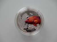 Barvni srebrni kovanec, Rdeča Kirnja