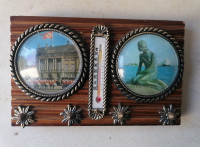 OBEŠALNIK termometer 17 x 11 cm